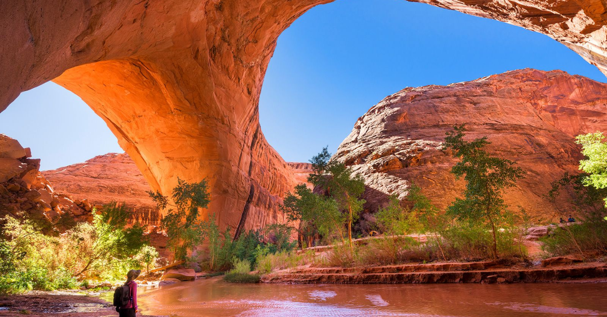 Epic National Parks Road Trip Hitting All the Highlights from Coast to Coast.